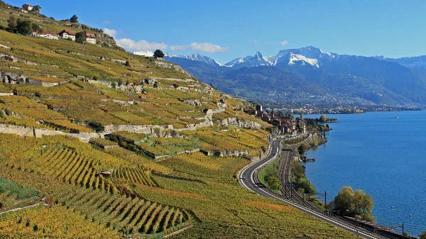 Lakeside Road through the Lavaux to Montreux, Switzerland