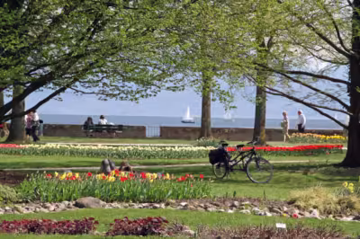 Sailboats seen on Lake Geneva during the Morges Tulip Festival in Switzerland