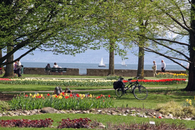 Morges Tulip Festival in Switzerland