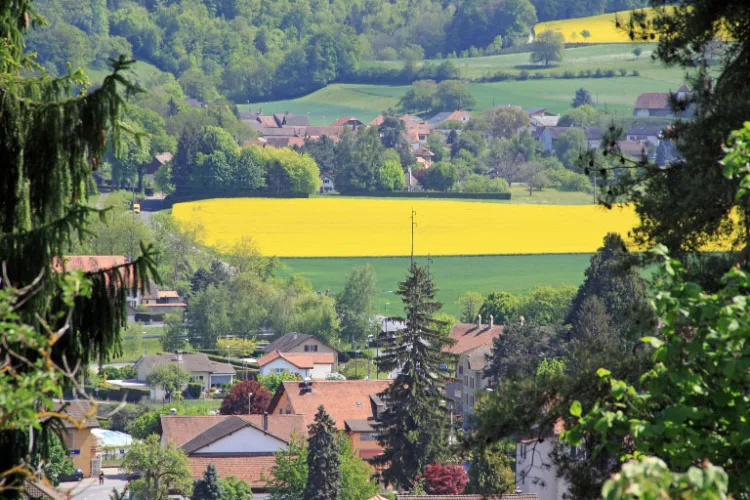 Spring Views from Lucens in Switzerland