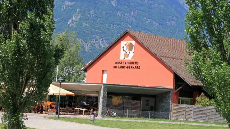 Museum St-Bernard Dogs in Martigny