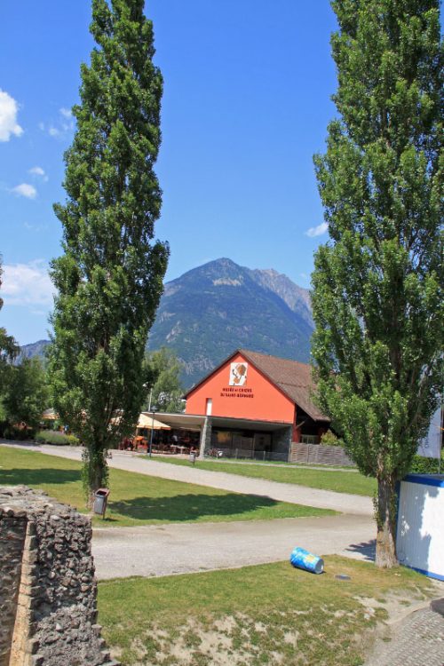 Musée et Chiens du Saint-Bernard in Martigny, Valais
