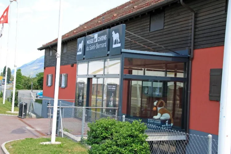 Musée et Chiens du Saint-Bernard in Martigny, Valais
