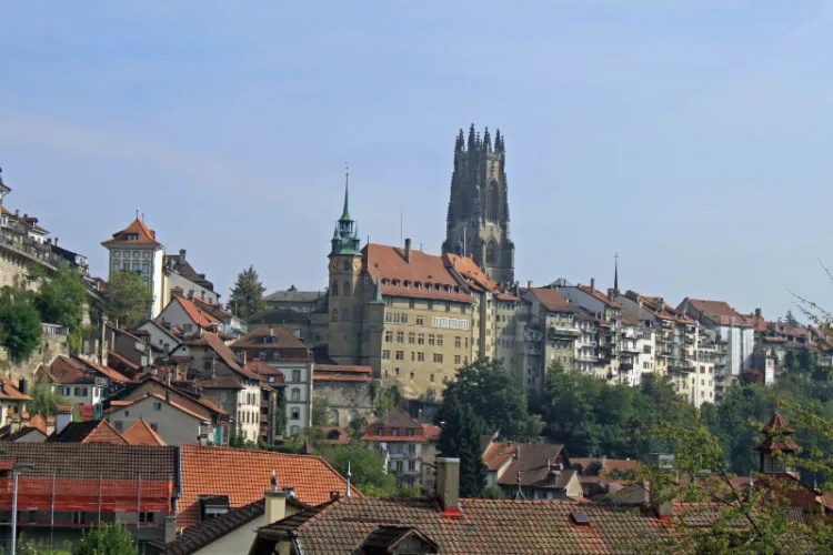 Freiburg - Cathedral and Hotel de Ville