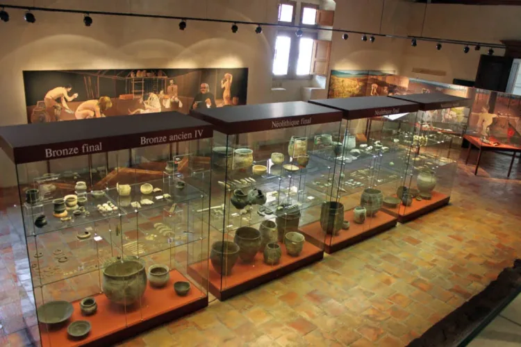 Archaeological Finds in Yverdon Castle and Museum