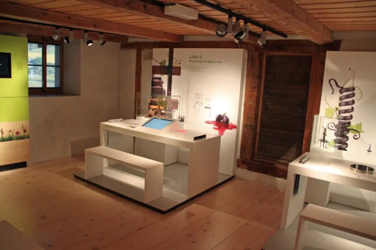 Vine and Wine Museum Displays in Château d'Aigle Castle