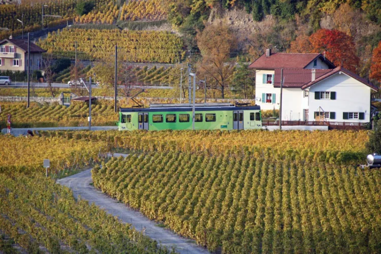 Train near Château d'Aigle Castle in Switzerland