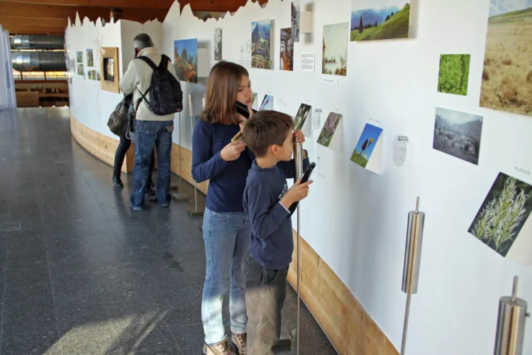Cylinders with smells in La Maison du Gruyères Show Dairy