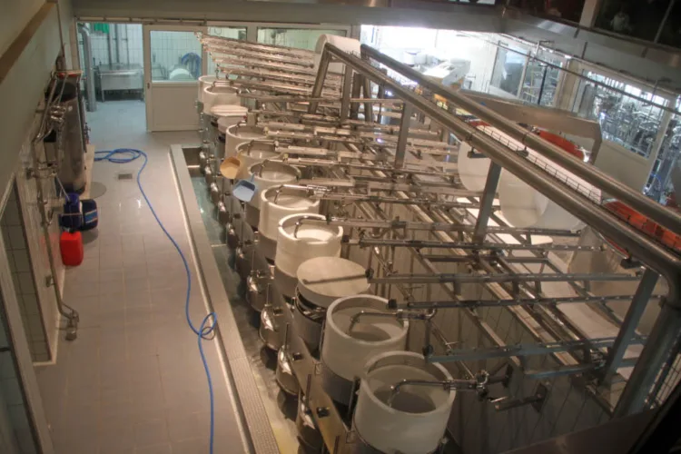 Gruyère Cheese Factory in Switzerland