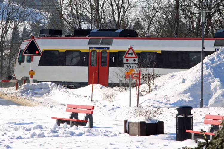 Train Entering Le Pont Station on Lac de Joux, Switzerland
