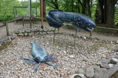 Prehistoric Marine Animals in the Dino Zoo and Prehistoric Park