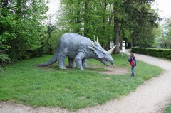 Triceratop in the Dino Zoo and Prehistoric Park