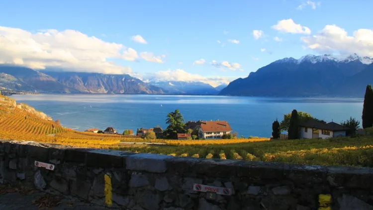Lavaux vineyards, Lake Geneva and Alps
