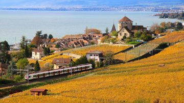 Save with Cheap Swiss Transportation Tickets and Railway Passes Lavaux train in autumn