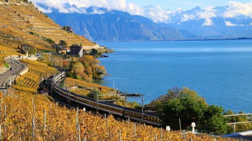 Trains in the Lavaux in Autumn
