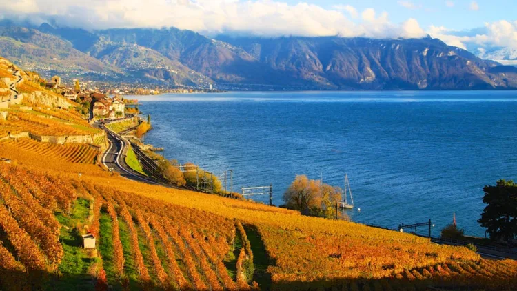 Lavaux on Lake Geneva in Autumn
