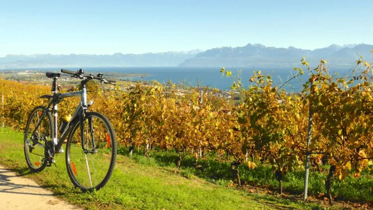 Cycling in La Côte on Lake Geneva