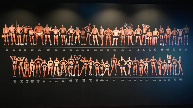 Olympians Come in All Shapes and Sizes