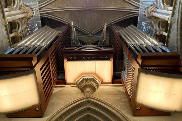Fisk Organ Case by Guigiaro