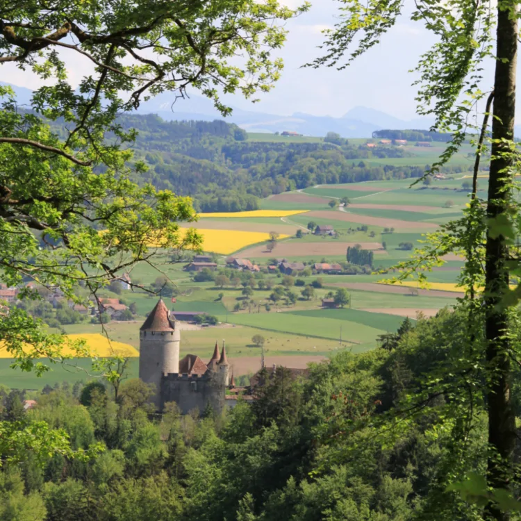 Chateau Lucens near Lausanne in Switzerland