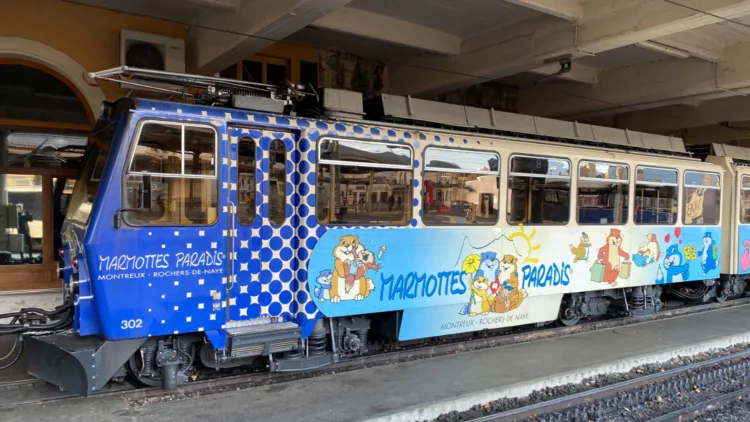 Train to Rocher De Naye