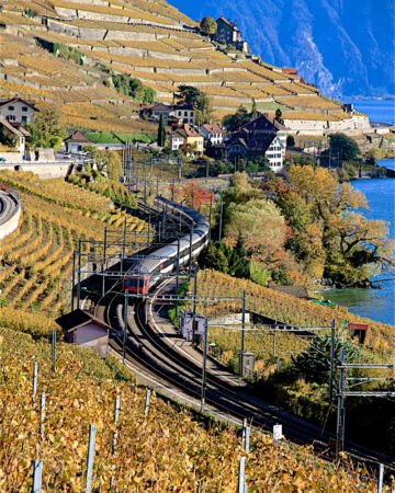 Train in the Lavaux in Autumn