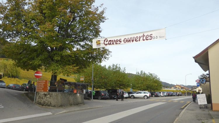Caves Ouvertes in Luins and Vinzel in the La Côte wine region on Lake Geneva in Switzerland
