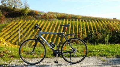 Cycling through the vineyards of La Côte on the shores of Lake Geneva