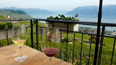 Open-cellar day in the Lavaux region on Lake Geneva with the Alps in the background