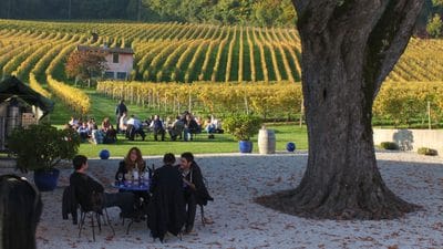 Wine tasting in Vaud on the shores of Lake Geneva on an open-cellars day