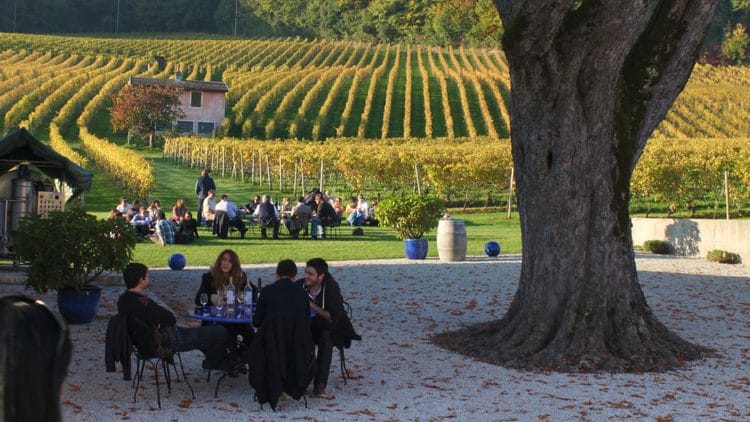 Wine tasting in Vaud on the shores of Lake Geneva on an open-cellars day