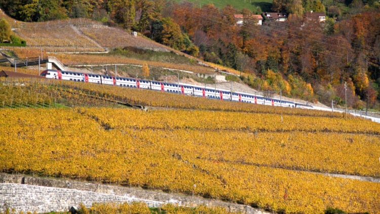 Intercity Train in the Lavaux in Autumn next to Lake Geneva