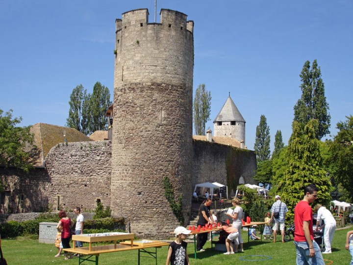 Visit the Swiss Museum of Games on Lake Geneva Lake Geneva Switzerland