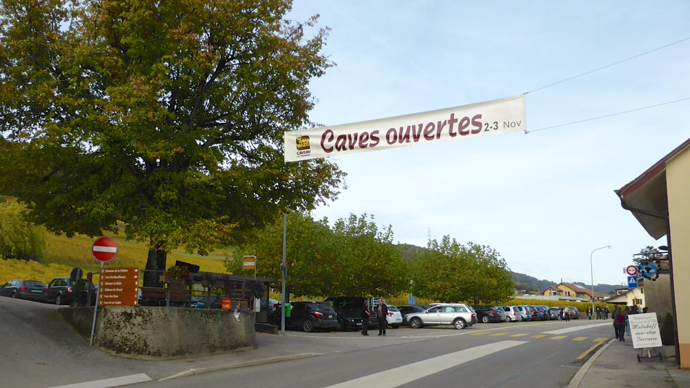 Wine Tasting in the Lake Geneva Region of Switzerland