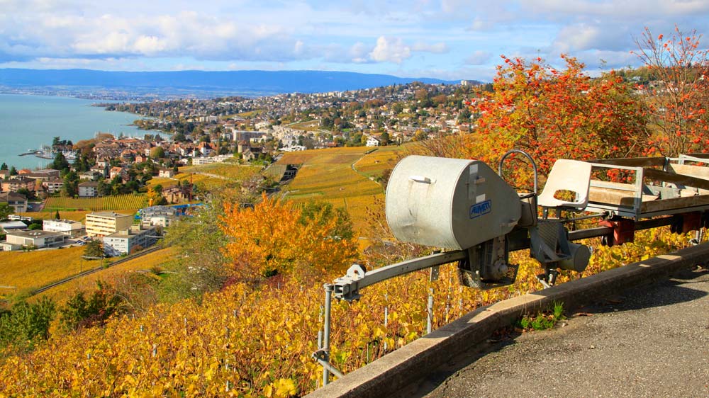 Wine Tasting in the Lake Geneva Region of Switzerland